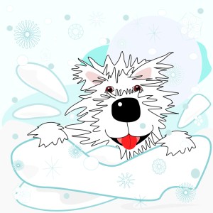 ??????????????????????????????????