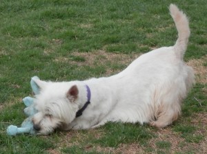 ??????????????????????