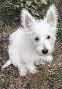 Cropped Fergie 5 10 14