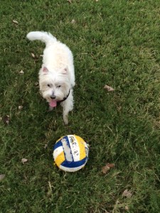 Yuki and her soccer ball