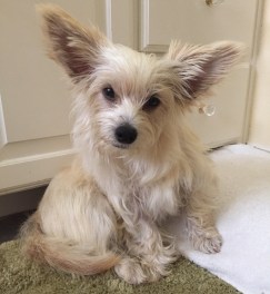 cropped IMG_3271 - Copy