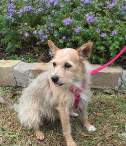 Louise FullSizeRender - 3