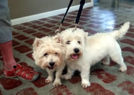 Billy Bob &amp; Rosie 1